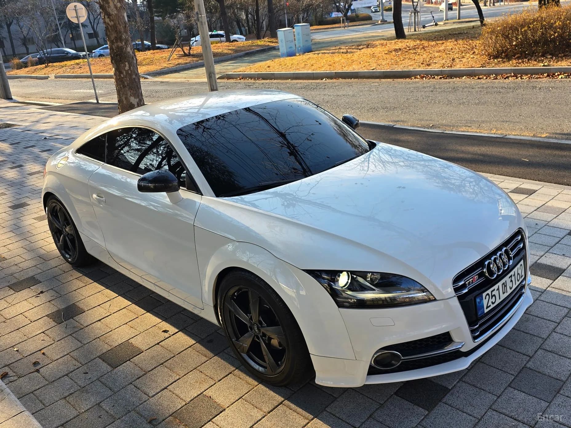 New TT