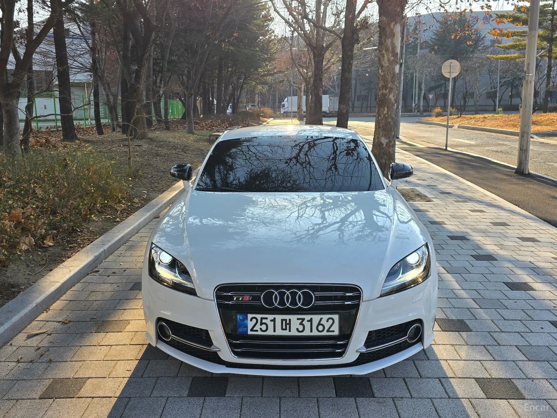New TT