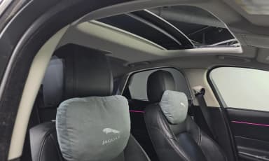 XF (x260)