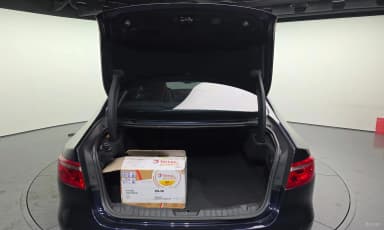 XF (x260)