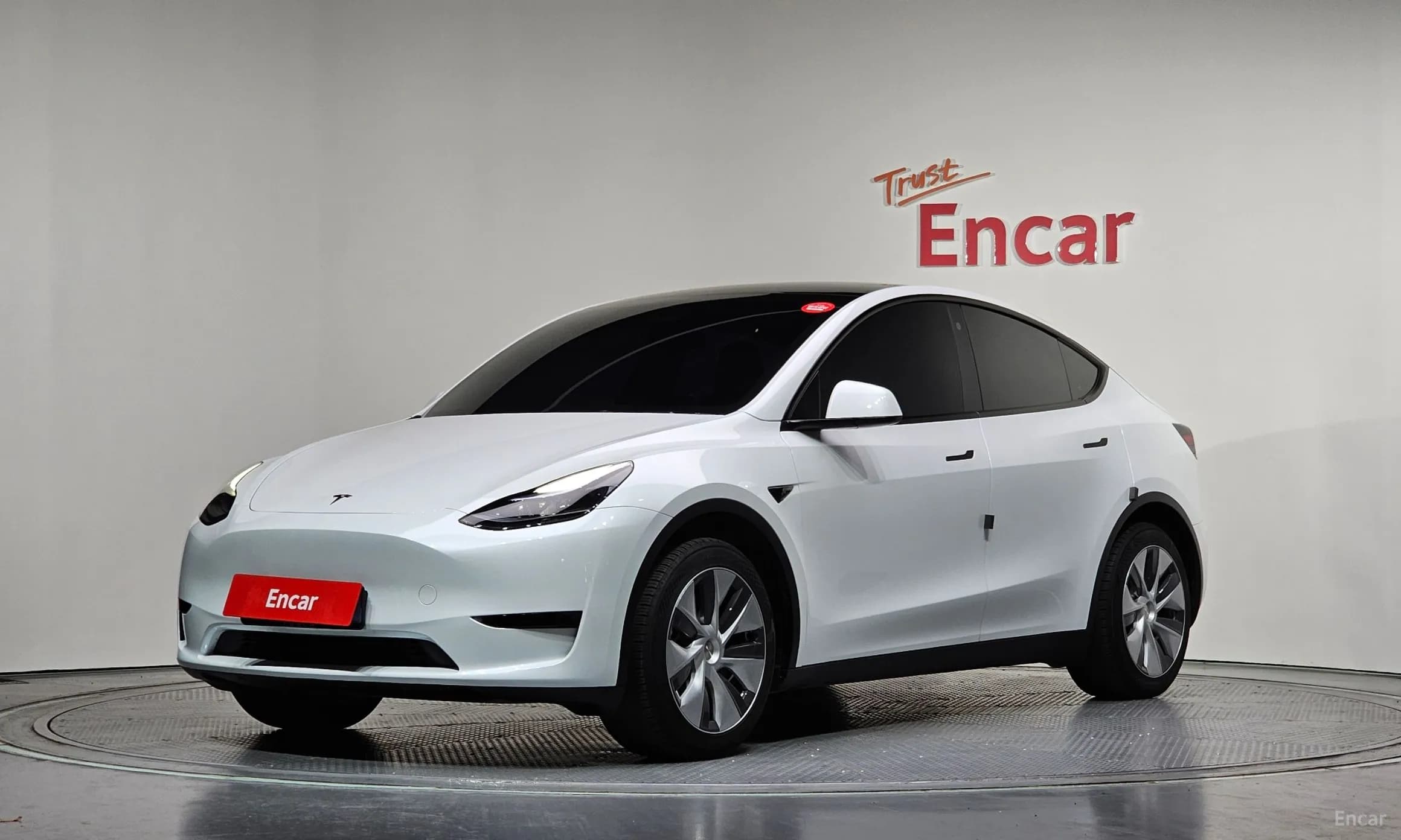 Model Y