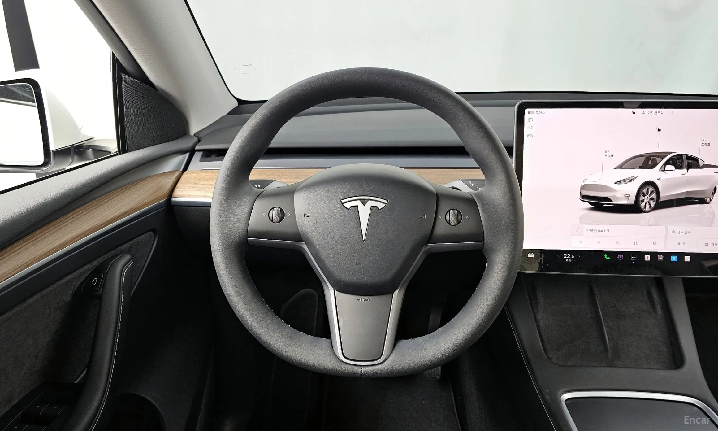 Model Y