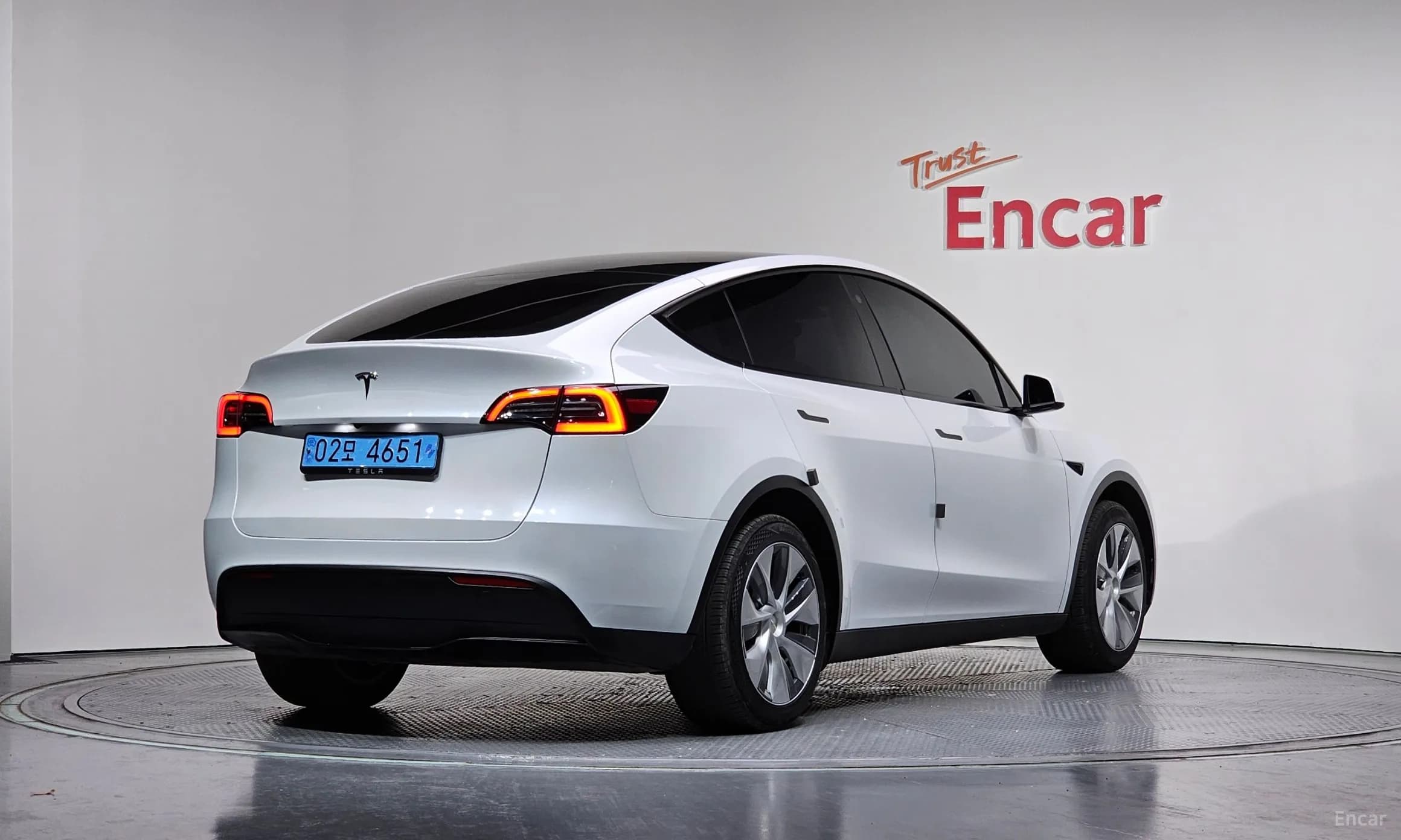Model Y