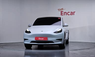 Model Y