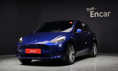Model Y
