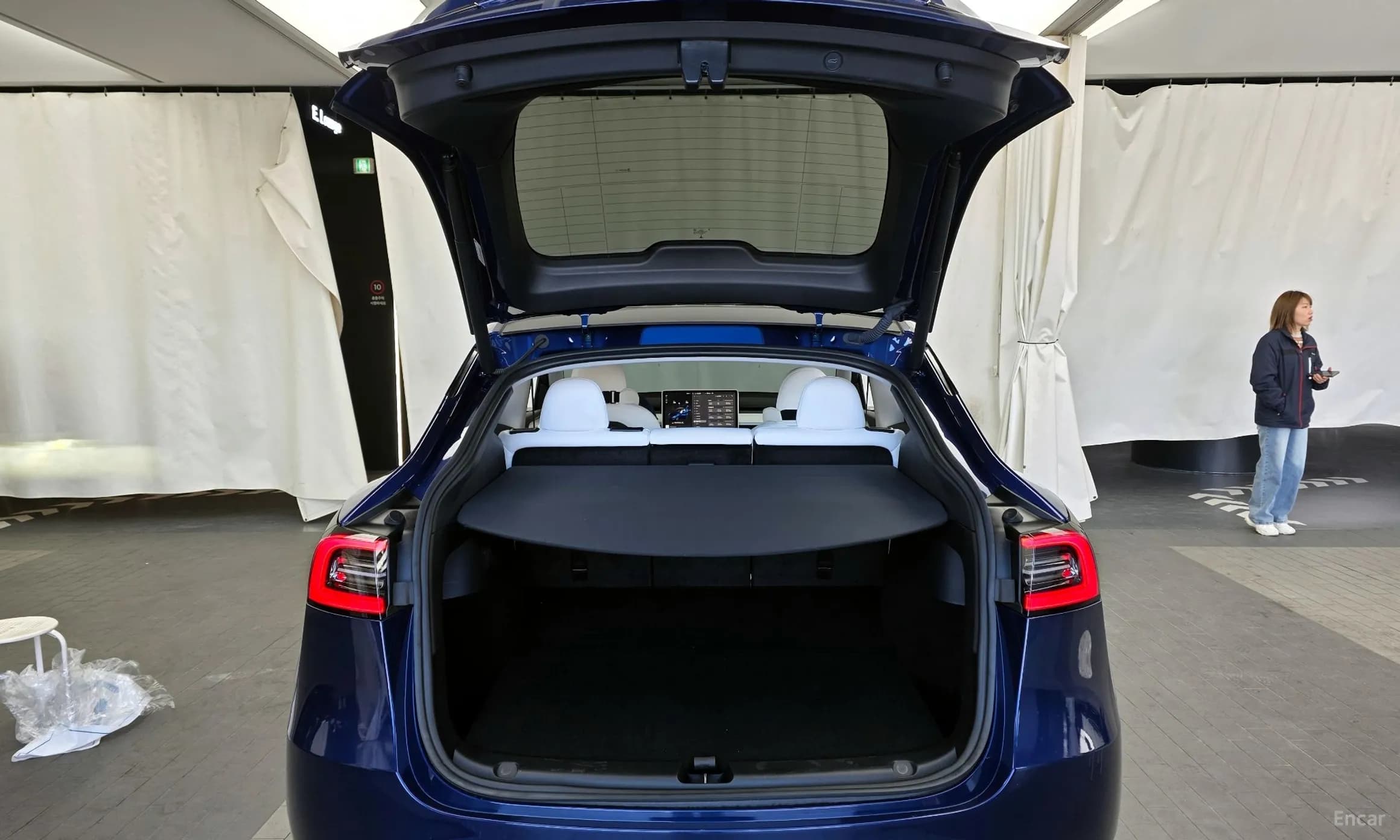 Model Y