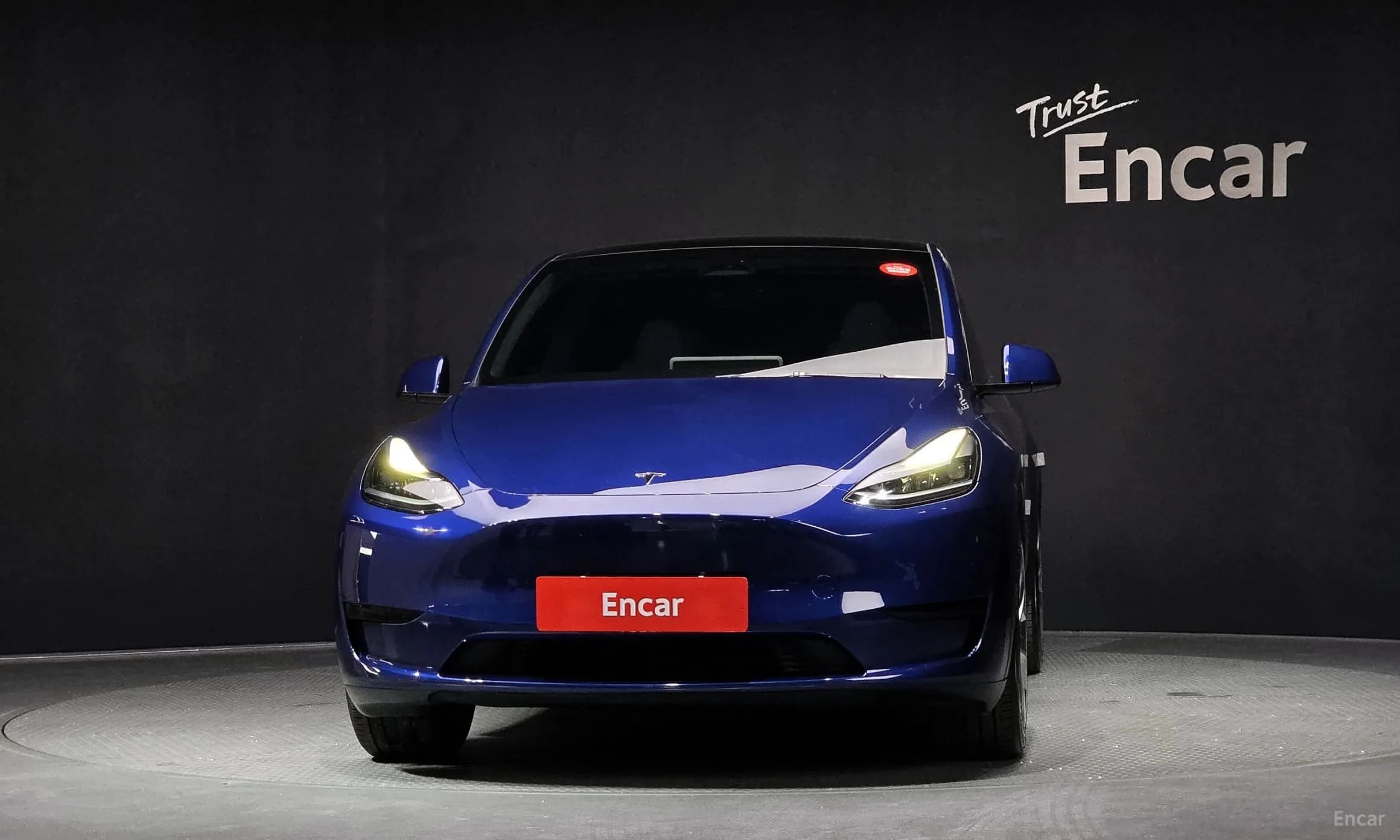Model Y
