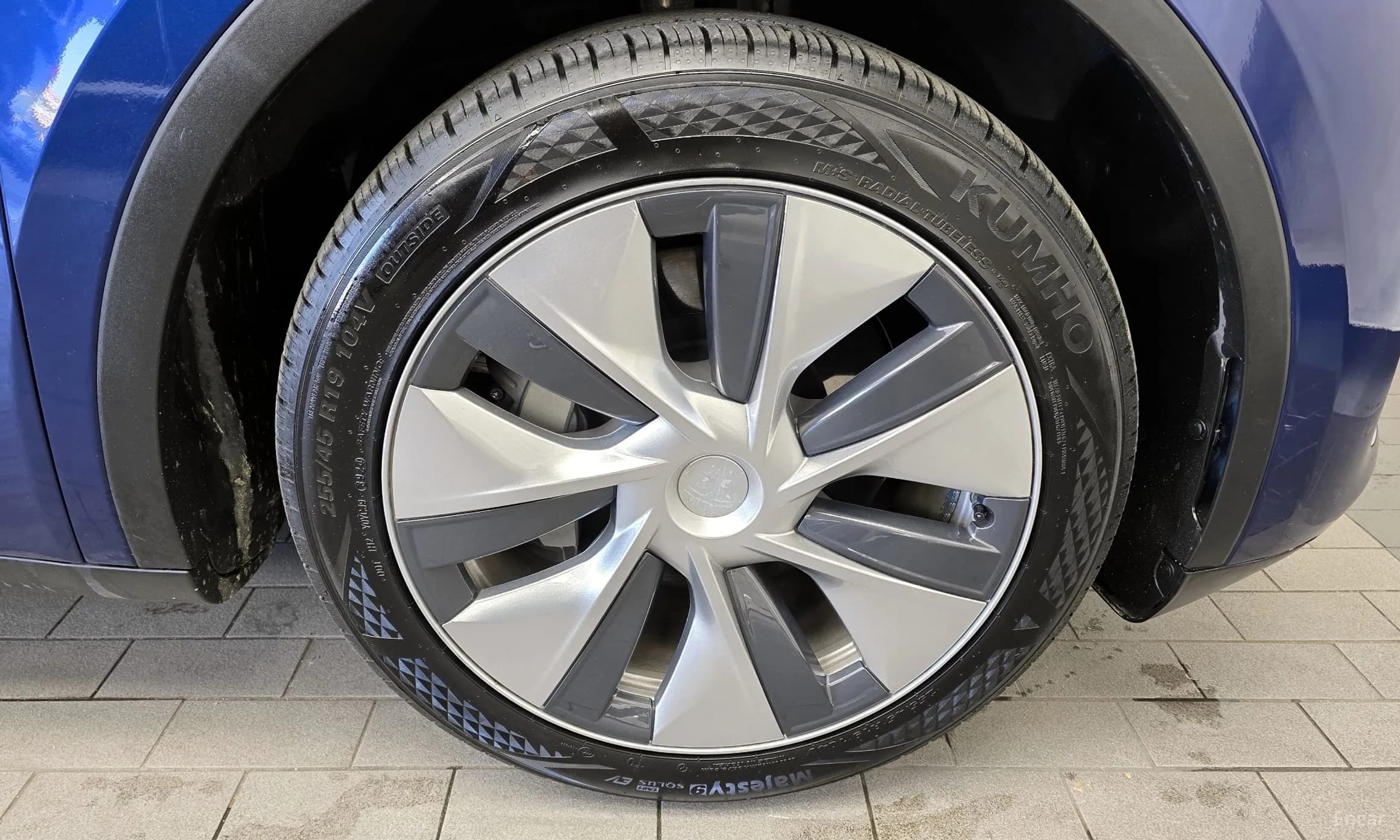 Model Y