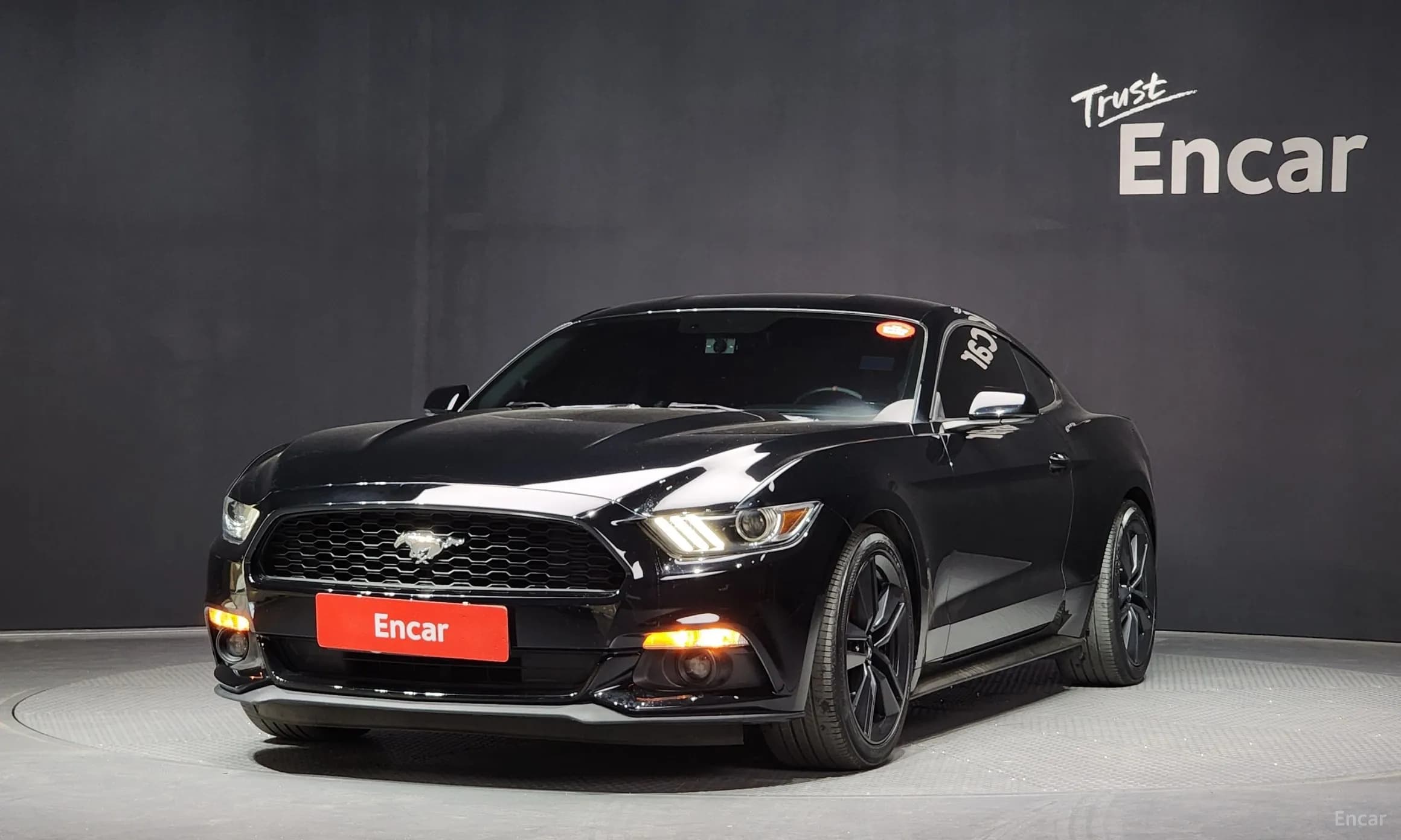 Mustang