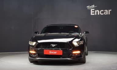 Mustang