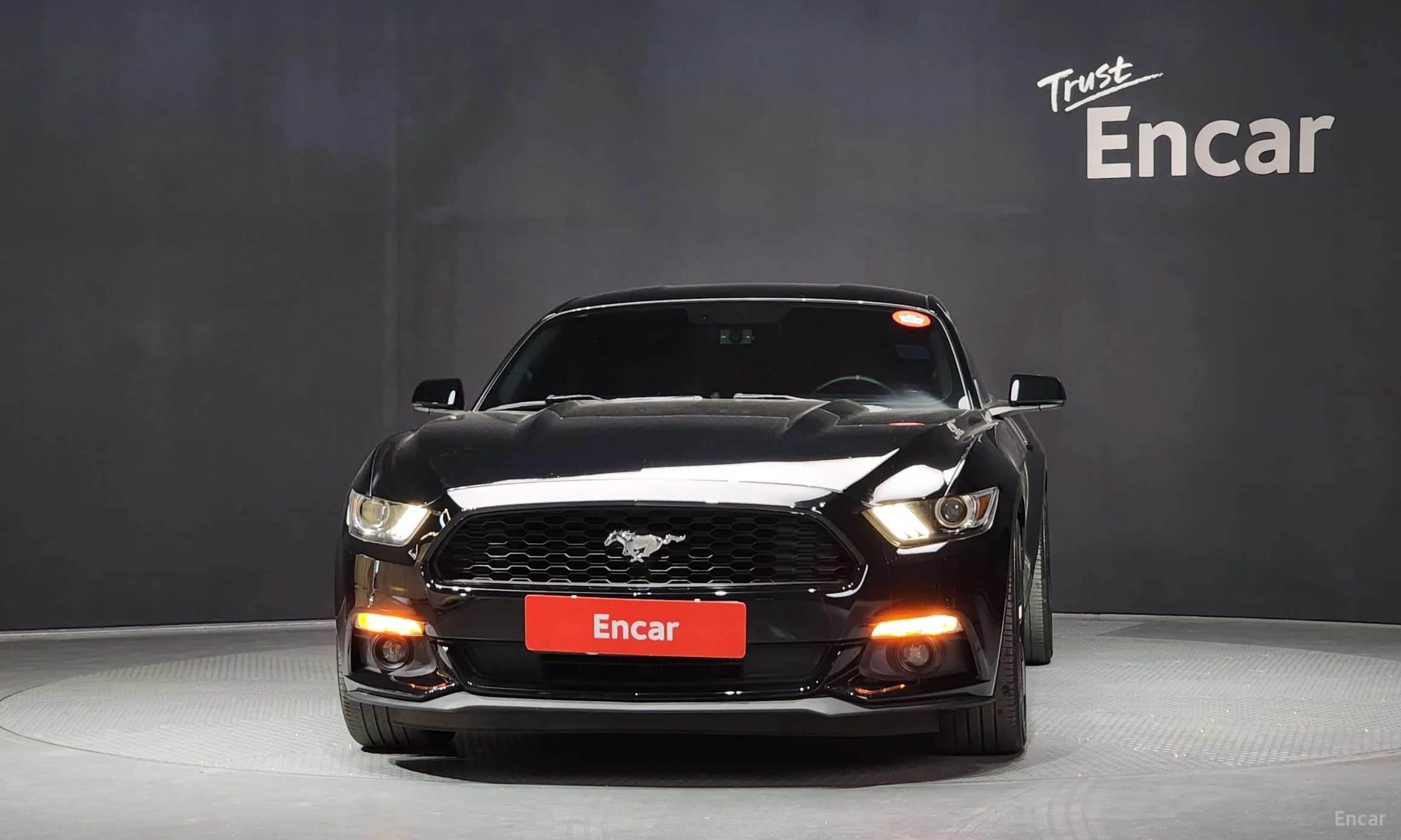 Mustang