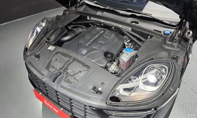 Macan