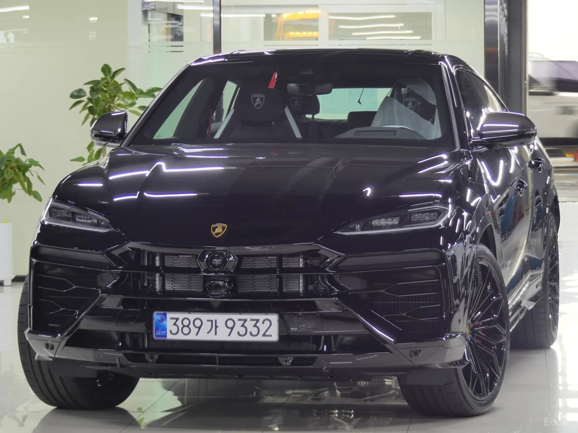 Urus