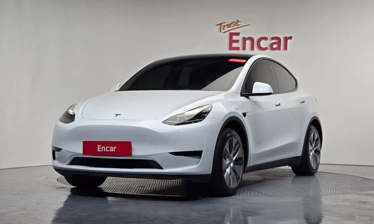 Model Y