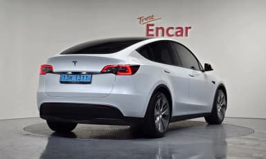 Model Y