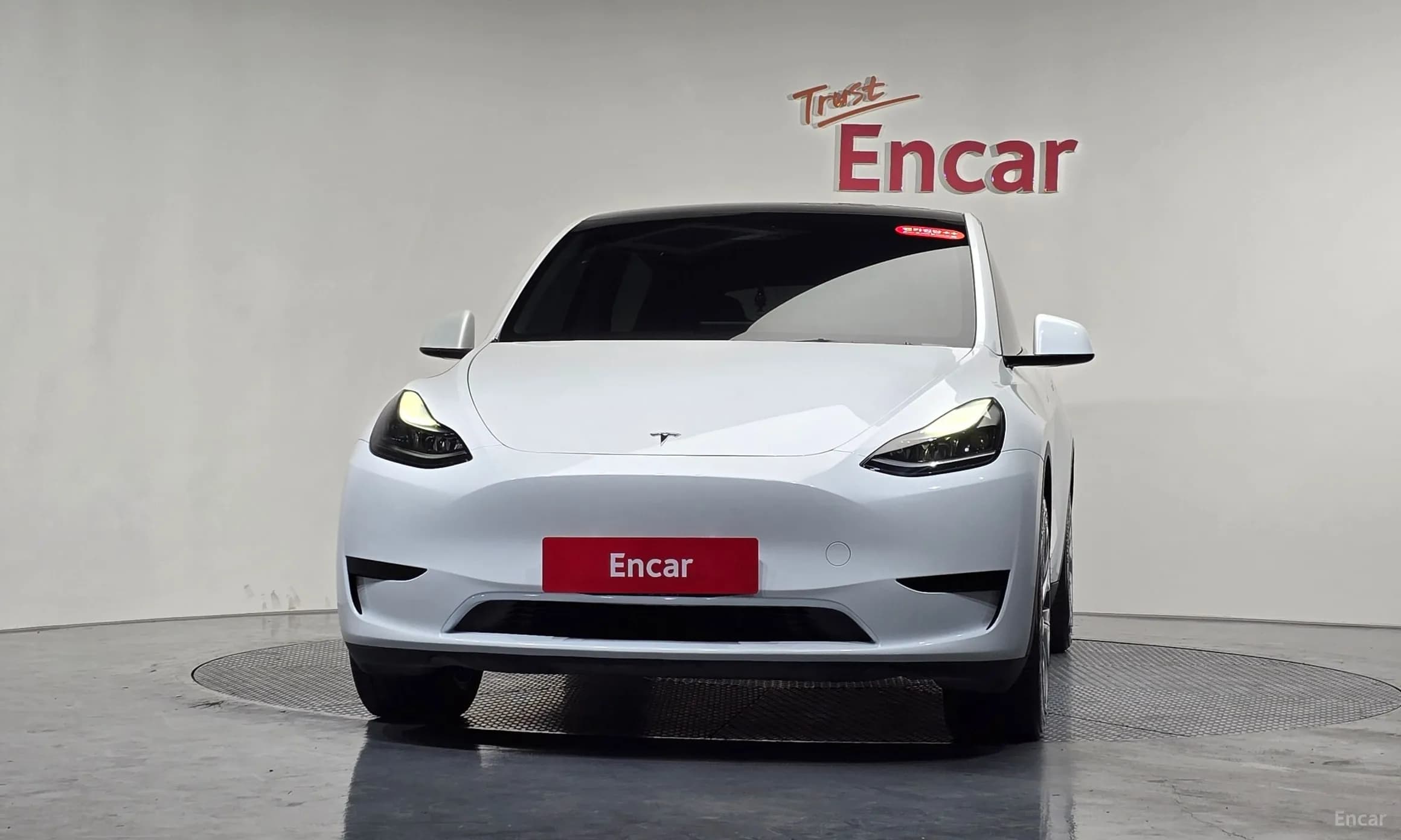Model Y