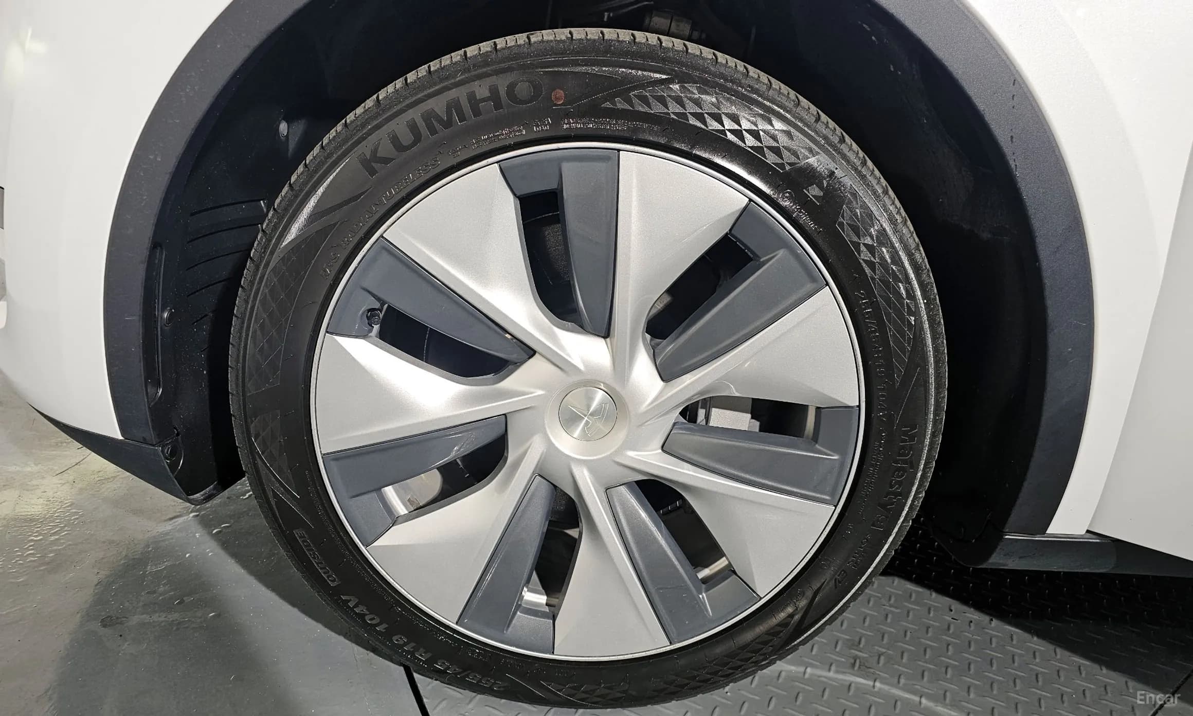 Model Y