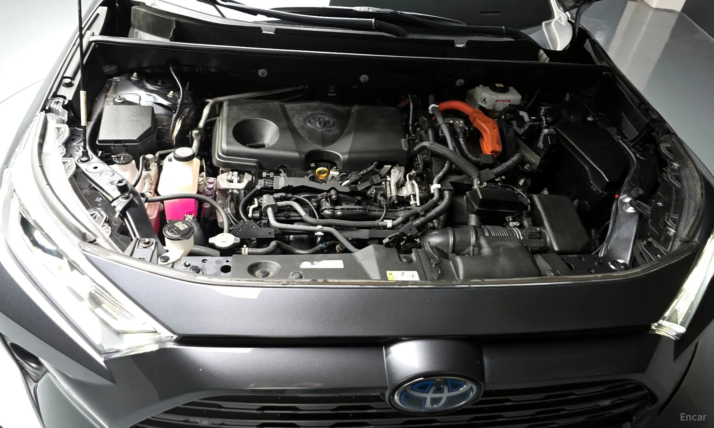RAV4 5th Generation