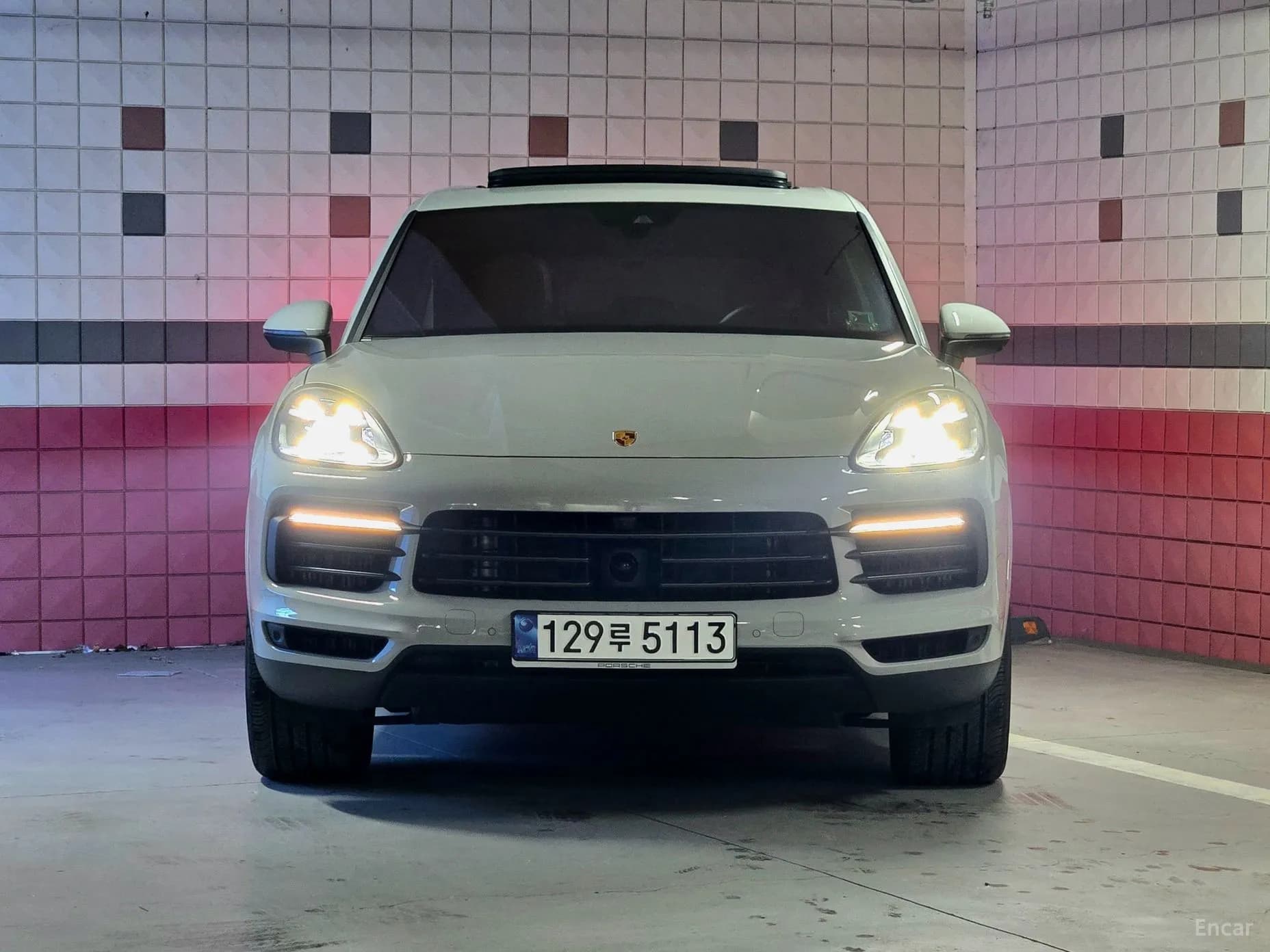 Cayenne (PO536)