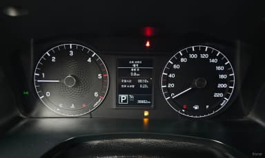 Rexton Sports