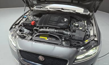 XF (x260)