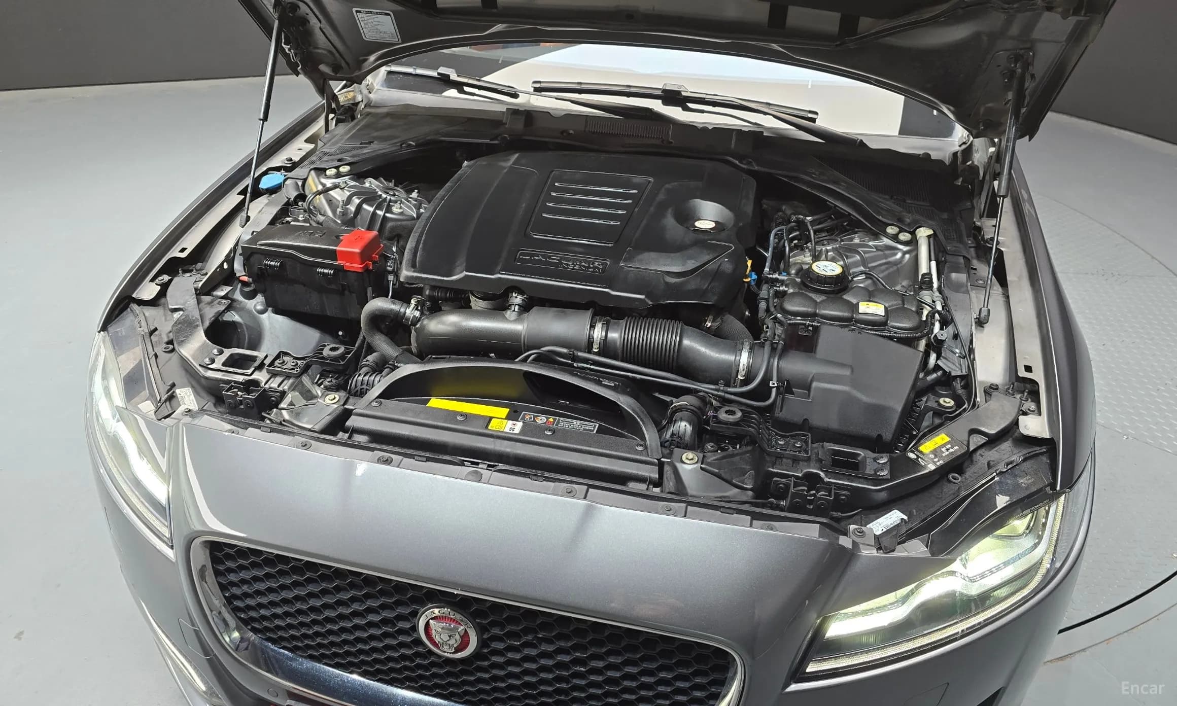 XF (x260)