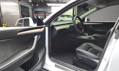Model Y
