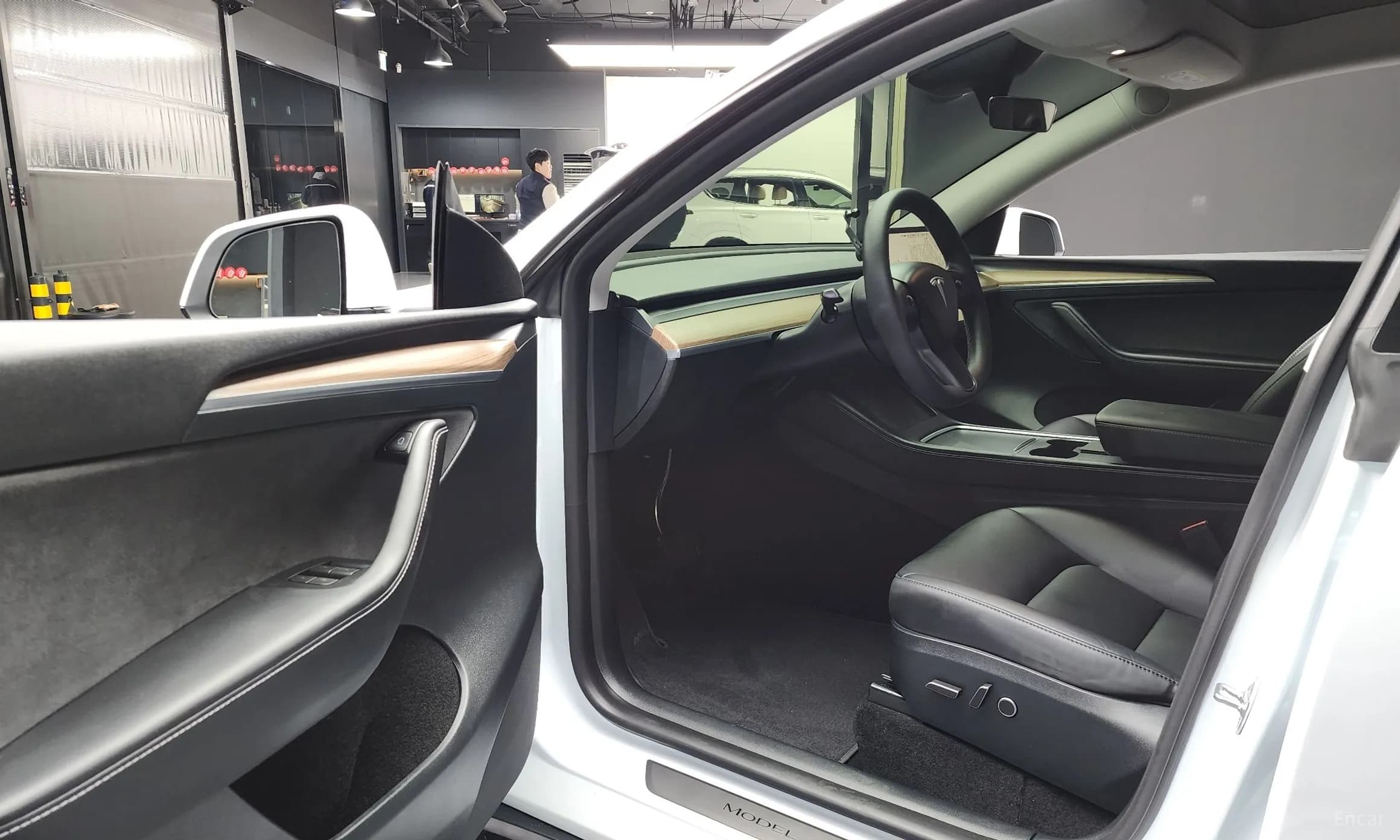 Model Y
