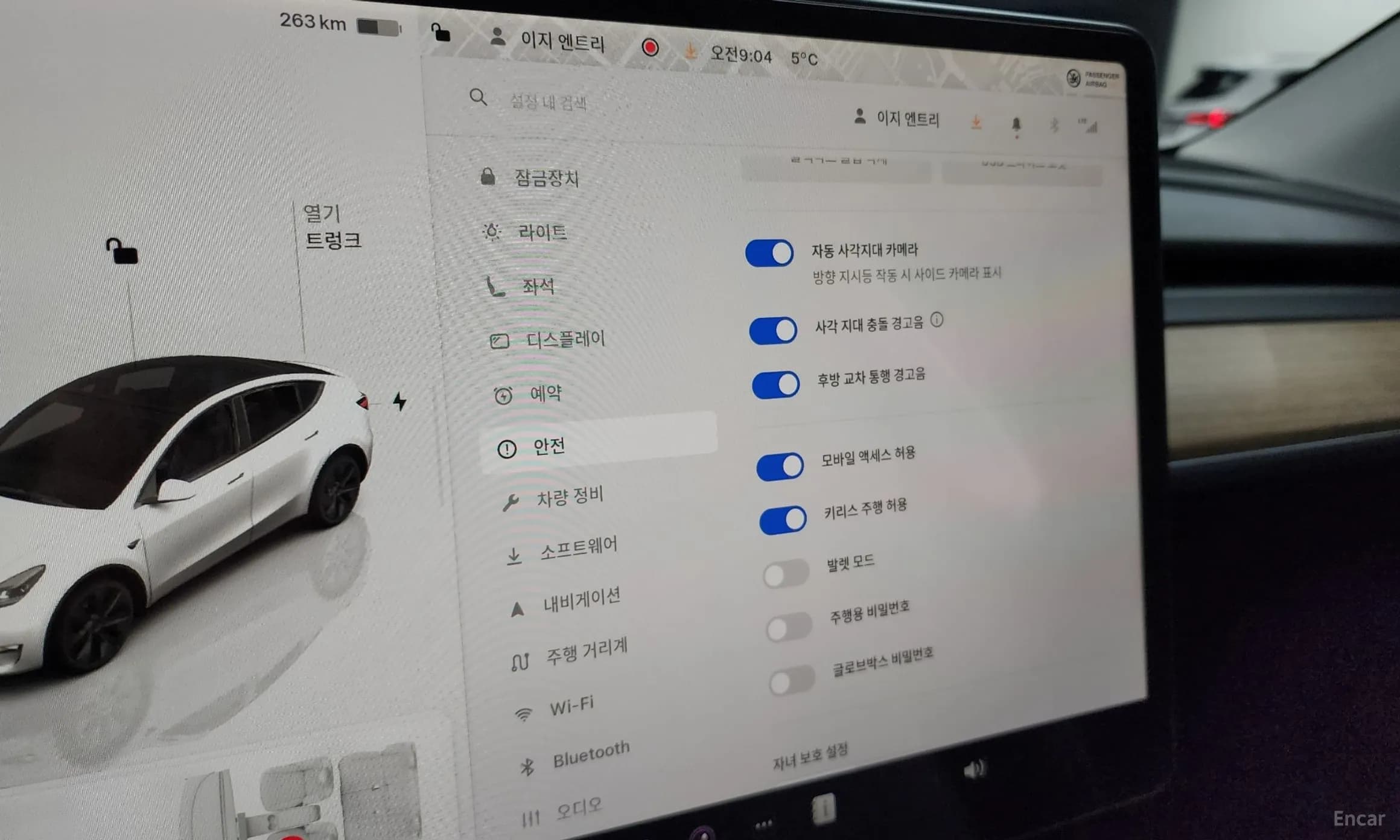 Model Y
