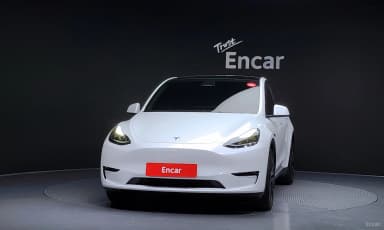 Model Y