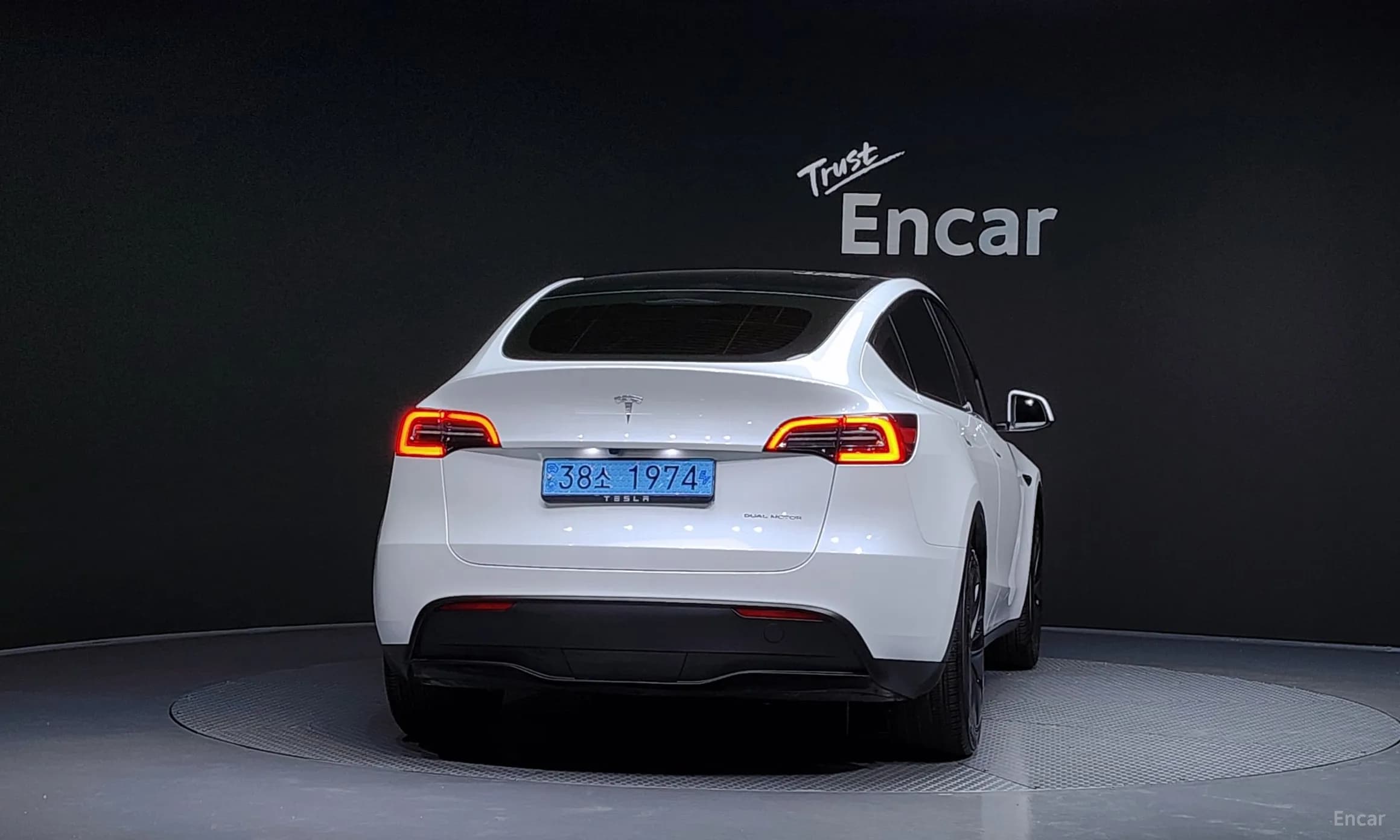 Model Y