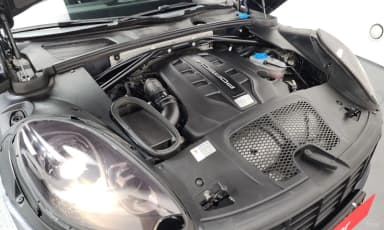 Macan
