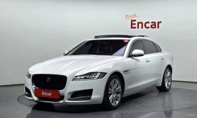 XF (x260)