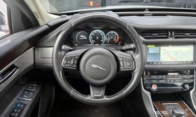 XF (x260)