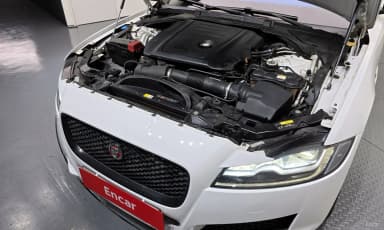 XF (x260)