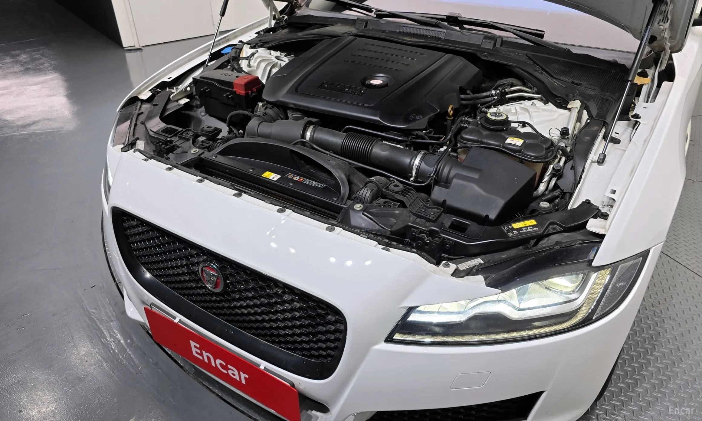 XF (x260)