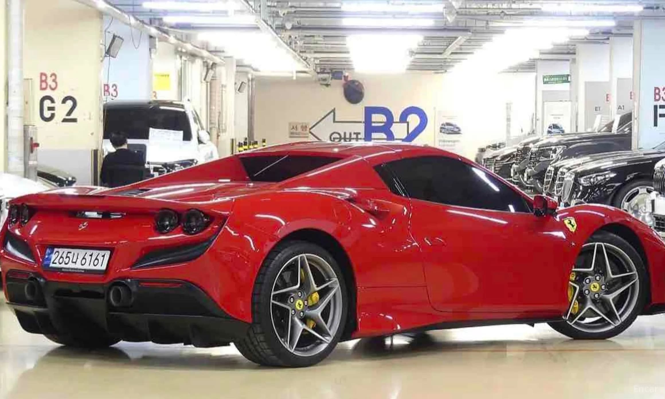 F8 Spider