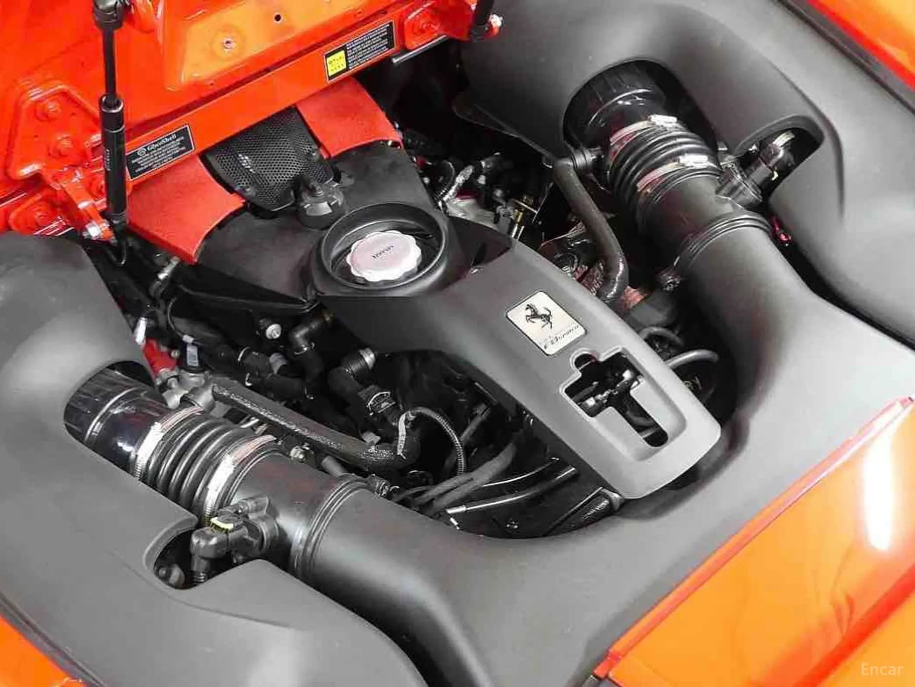 F8 Spider