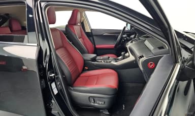 NX300h