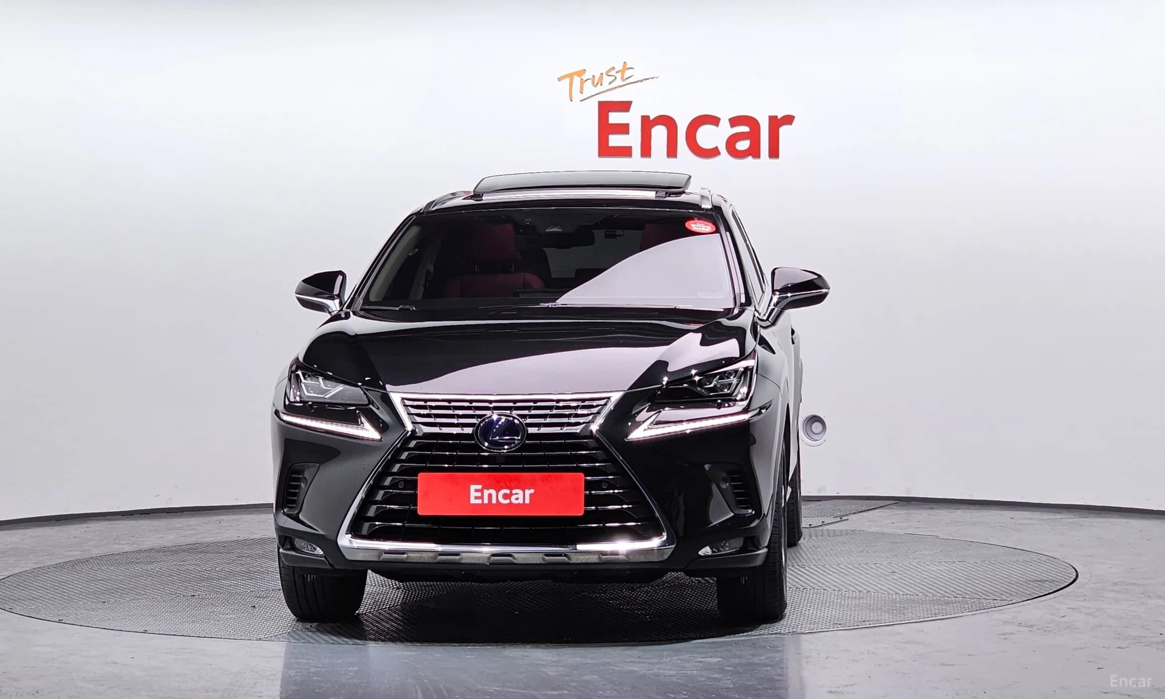 NX300h