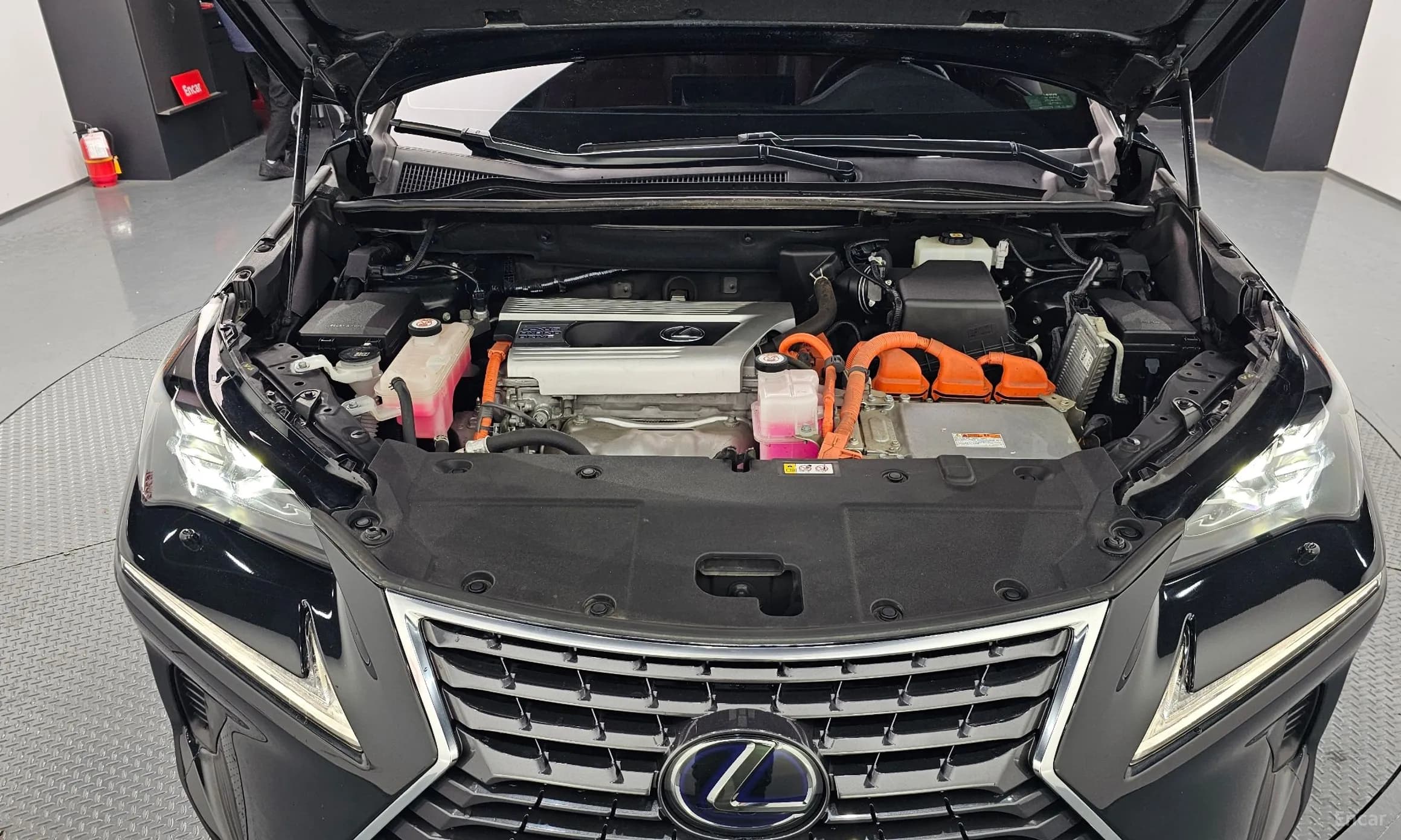 NX300h