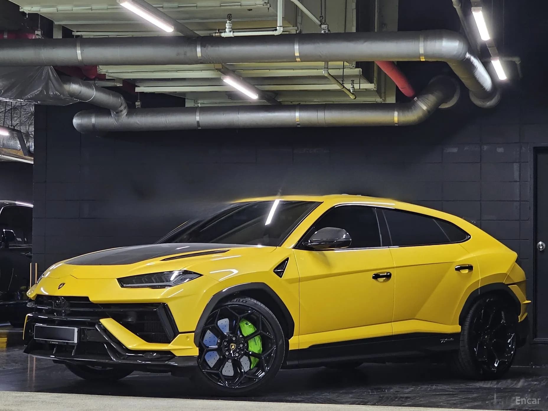 Urus