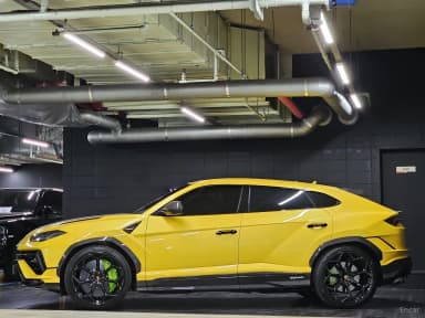 Urus