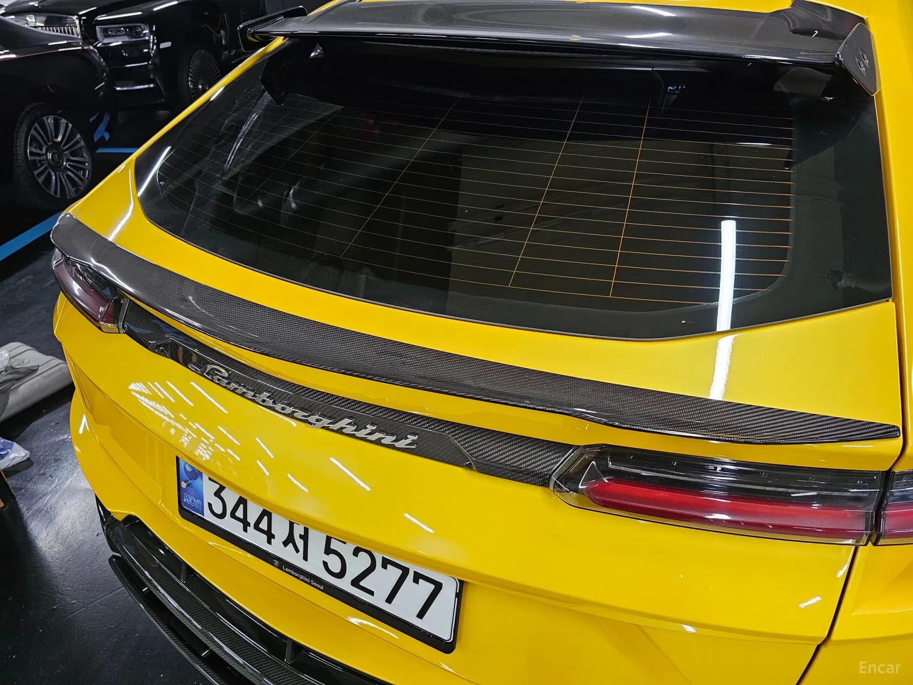 Urus