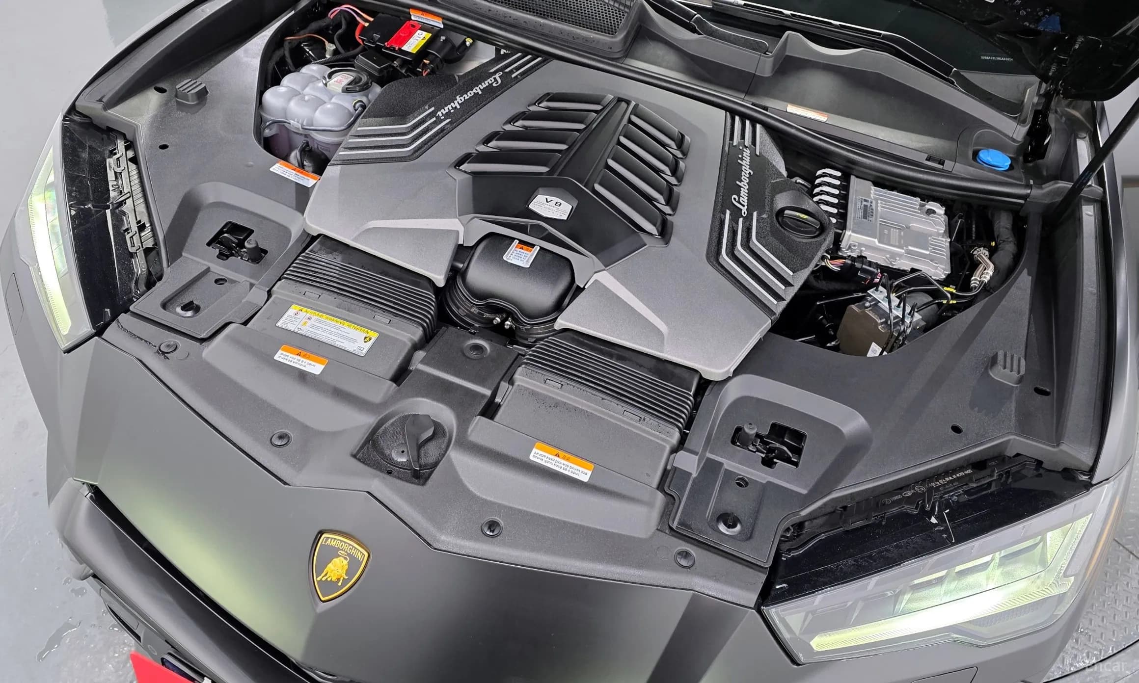 Urus