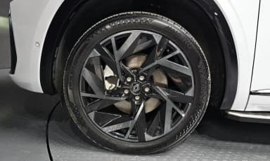 Grang Koleos
