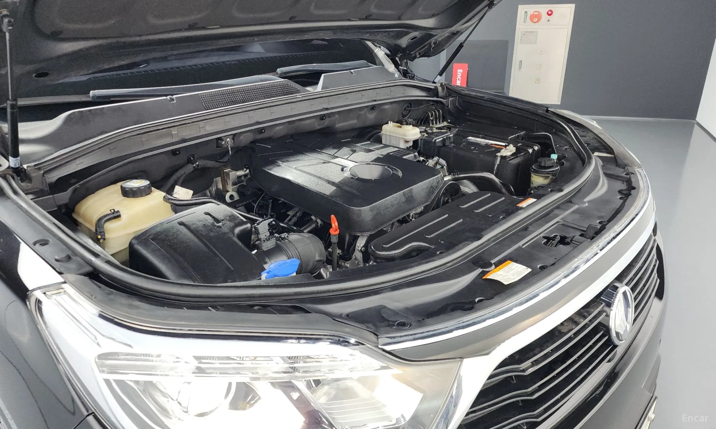G4 Rexton