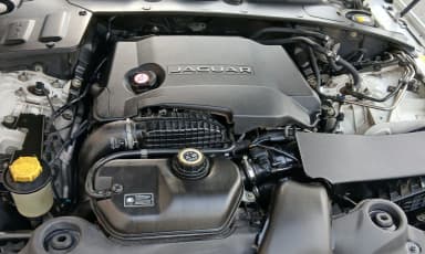 All New XJ