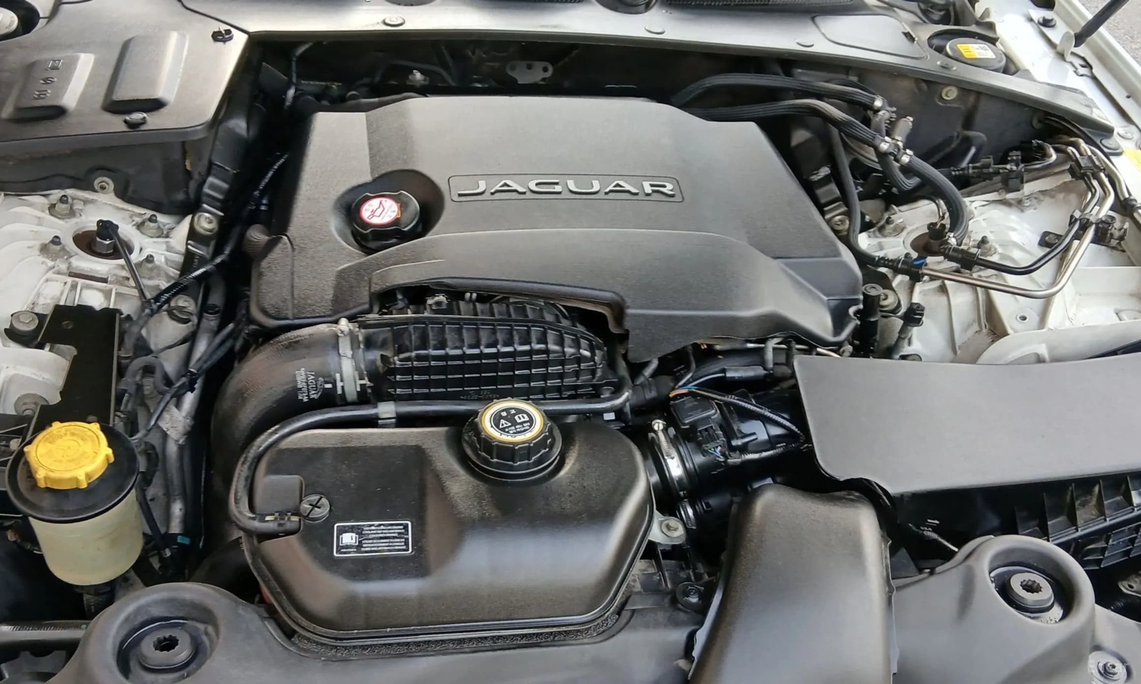 All New XJ