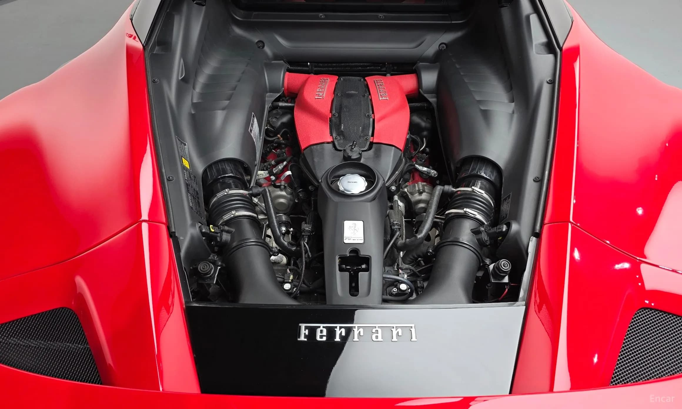 F8 Tributo